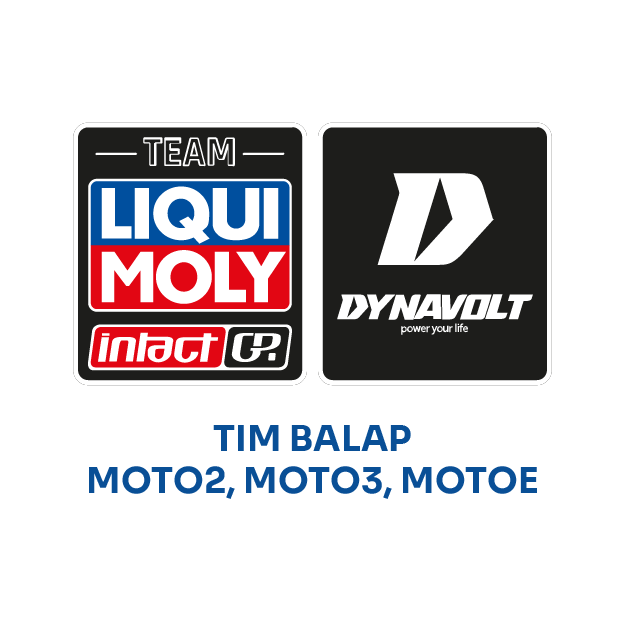 IntactGP Dynavolt Liquimoly